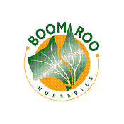 boom_roo_logo